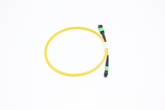 OM3/OM4 MPO Connector 12 Fiber MPO Trunk Cable 8/12/24F MTP MPO Cable para Data Center Room